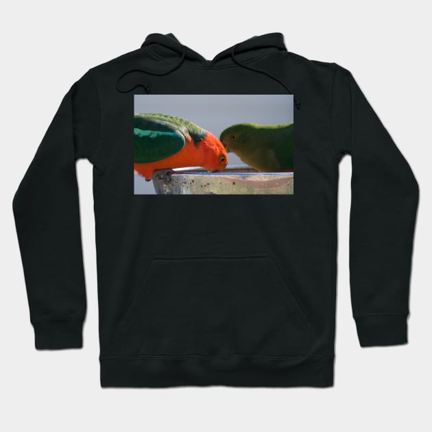 Australian King Parrots #1 Hoodie by DeborahMcGrath